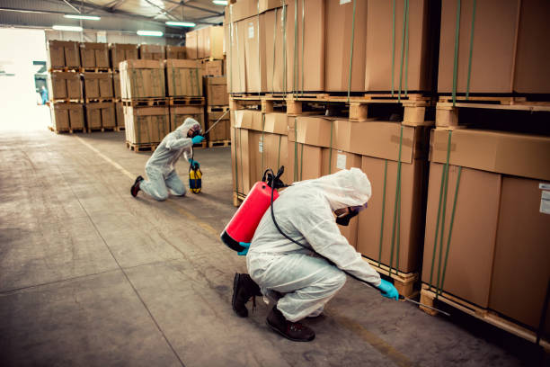 Best Pest Prevention Services  in Banning, CA