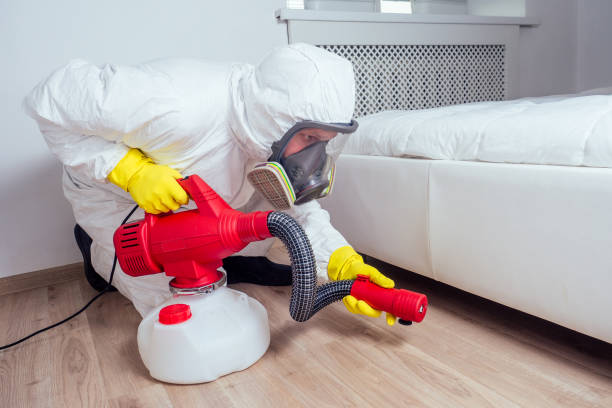 Best Best Pest Control Companies  in Banning, CA