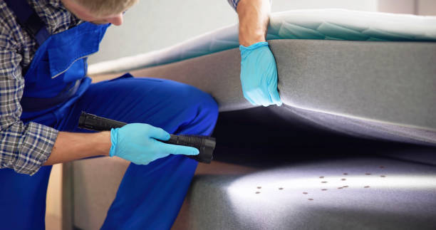 Trusted Banning, CA Pest Control Experts